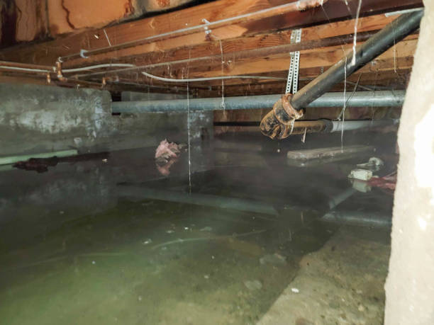 Best Water damage repair service  in Greenbriar, VA