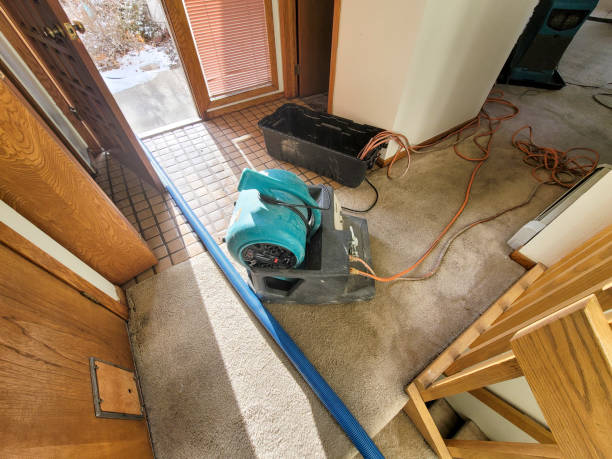 Best Residential water damage restoration  in Greenbriar, VA