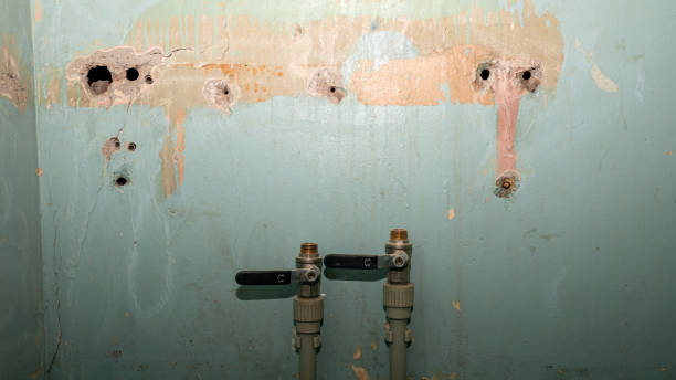 Best Sewage cleanup and water damage restoration  in Greenbriar, VA
