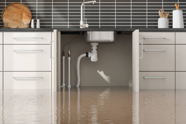 Best Flood damage cleanup  in Greenbriar, VA
