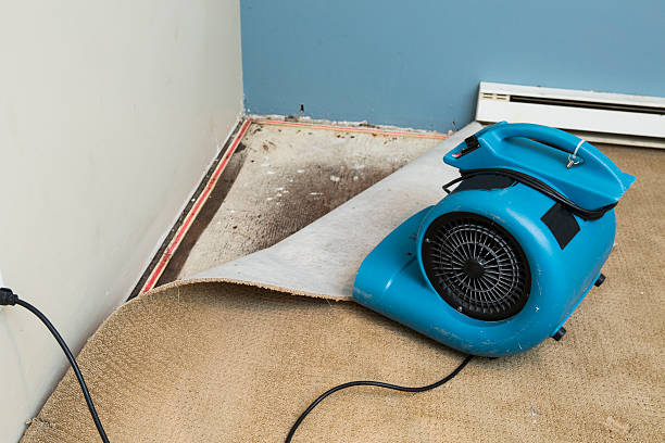 Best Fire Damage Restoration  in Greenbriar, VA